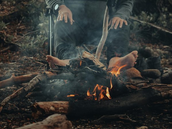 Peut-on trouver une croisière qui propose des excursions pour observer les baleines à bosse en Alaska?
