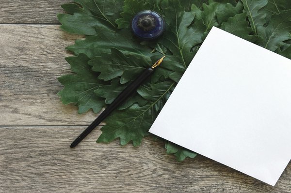 Quelles croisières permettent de découvrir les récifs coralliens avec des biologistes marins?