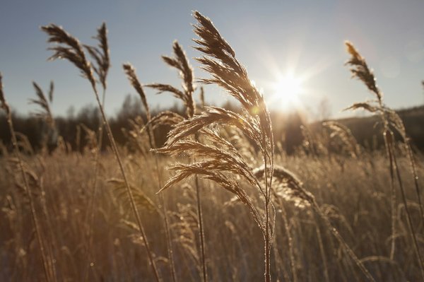 Où explorer les plus beaux parcs nationaux en Australie de manière durable?
